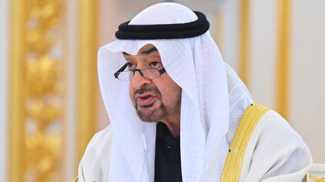 President of the United Arab Emirates Sheikh Mohammed bin Zayed Al Nahyan