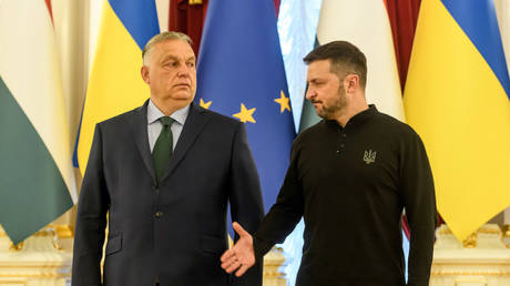 Viktor Orban and Vladimir Zelensky meet in Kiev, Ukraine, July 2, 2024  are shaking hands before their meeting in Kyiv, Ukraine, on July 2, 2024  © Getty Images / Maxim Marusenko