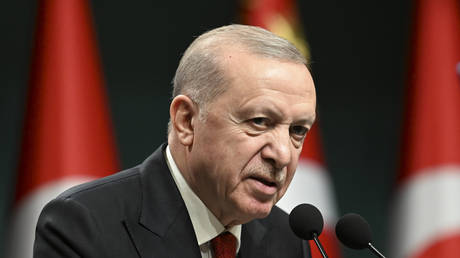 FILE PHOTO: Turkish President Recep Tayyip Erdogan