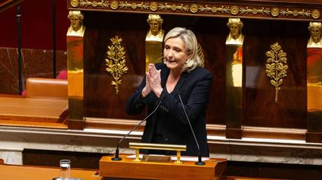 FILE PHOTO: Marine Le Pen speaking at the French National Assembly in December 2024.