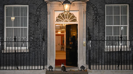 FILE PHOTO. Larry the cat sits outside the front door of Number 10 in Downing Street in London, the UK.