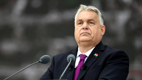 FILE PHOTO: Hungarian Prime Viktor Orban delivering an address to his supporters.