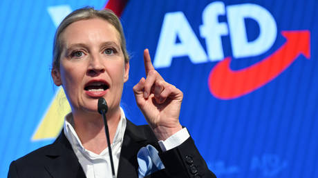 Alice Weidel, co-leader of the Alternative for Germany (AfD) political party.