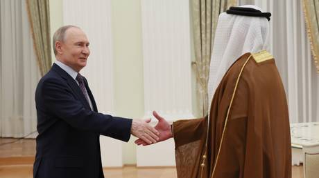 Russian President Vladimir Putin and UAE Deputy Prime Minister and Minister of Interior Sheikh Saif bin Zayed Al Nahyan shake hands before a meeting at the Kremlin in Moscow, Russia.