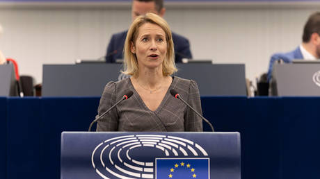 Kaja Kallas addresses the European Parliament in Strasbourg, France, January 20, 2026 © Getty Images / Philipp von Ditfurth