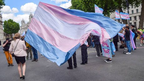 FILE PHOTO: Demonstrators carrying transgender flags.