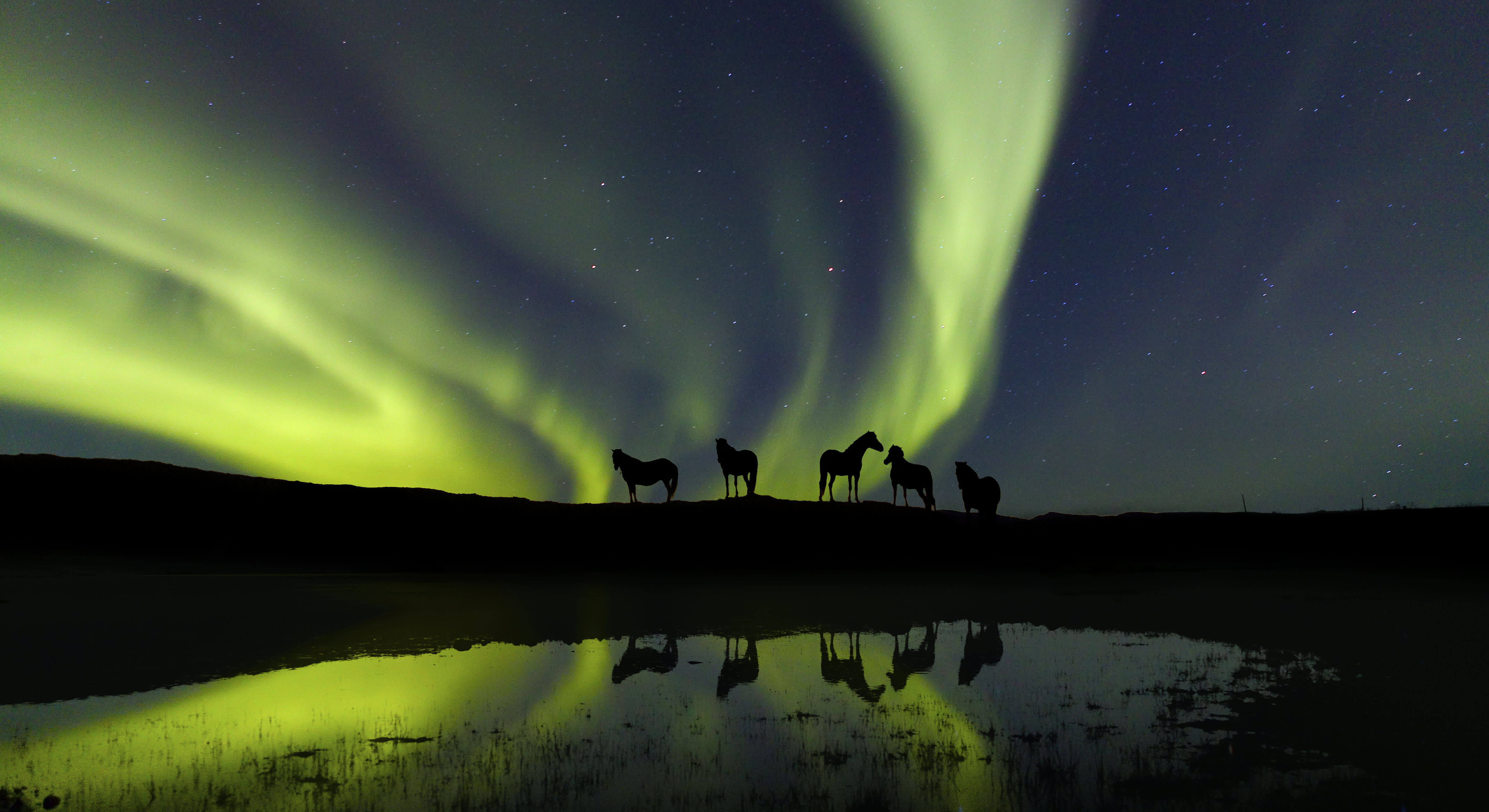 Why 2026 is the Best Year to See Iceland’s Northern Lights
