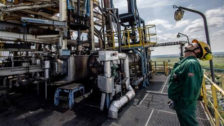 FILE PHOTO: An employee inspects on a cracking tower at an oil refinery in Szazhalombatta, Hungary. 