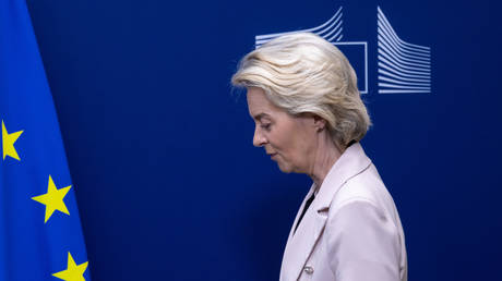 FILE PHOTO: European Commission President Ursula von der Leyen.