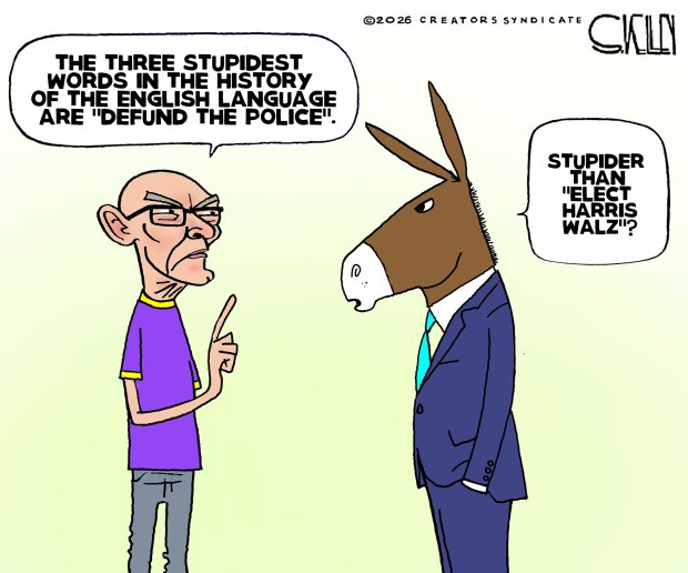 Editorial cartoon by Steve Kelley (Creators Syndicate)