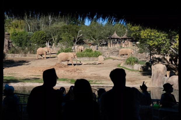 The view from Elephant Valley's Mkutano House, a two-story dining destination in the new space at the San Diego Zoo Safari Park. (Allen J. Schaben/Los Angeles Times/TNS)