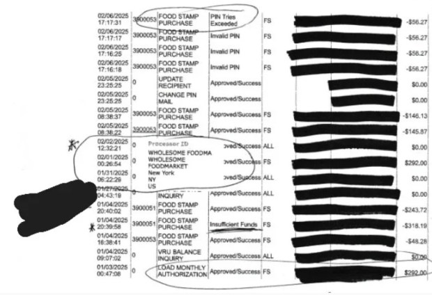 A screenshot of one SNAP victim's transaction history shows fraud wiping out their balance with bogus purchases at fake vendors. (Screenshot provided by DTA whistleblower)