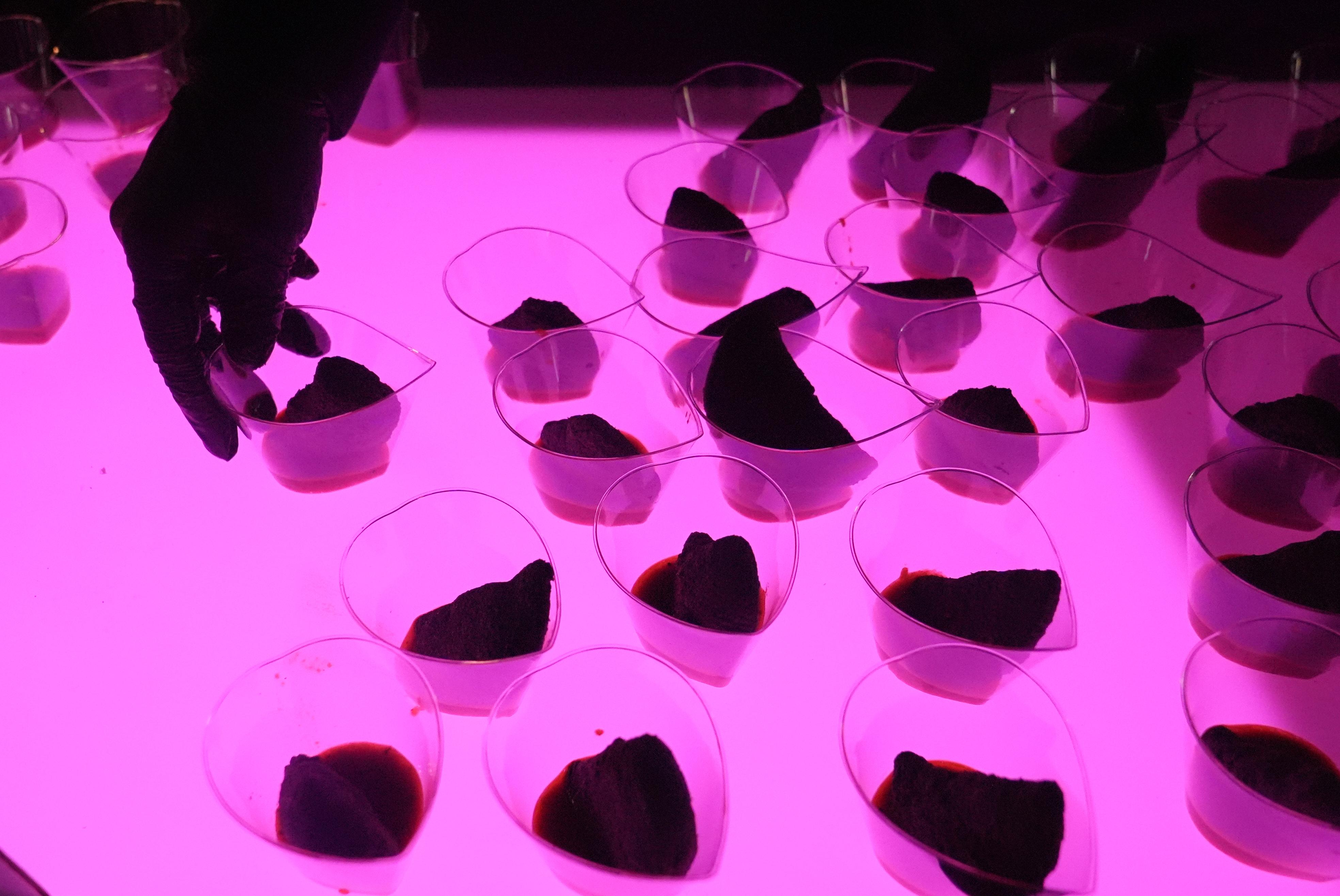 Octopus empanadas with sweet pepper tobiko sauce are arranged on...