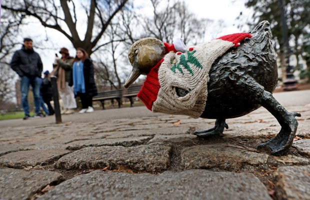 The duckling statues were dressed up in sweaters against the cold Sunday in the Public Garden. (Nancy Lane/Boston Herald)