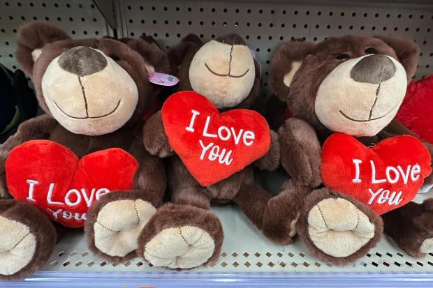 Valentine's day Plush bears are displayed at a retail store in Lincolnshire, Ill., Wednesday, Jan. 28, 2026. (AP Photo/Nam Y. Huh)