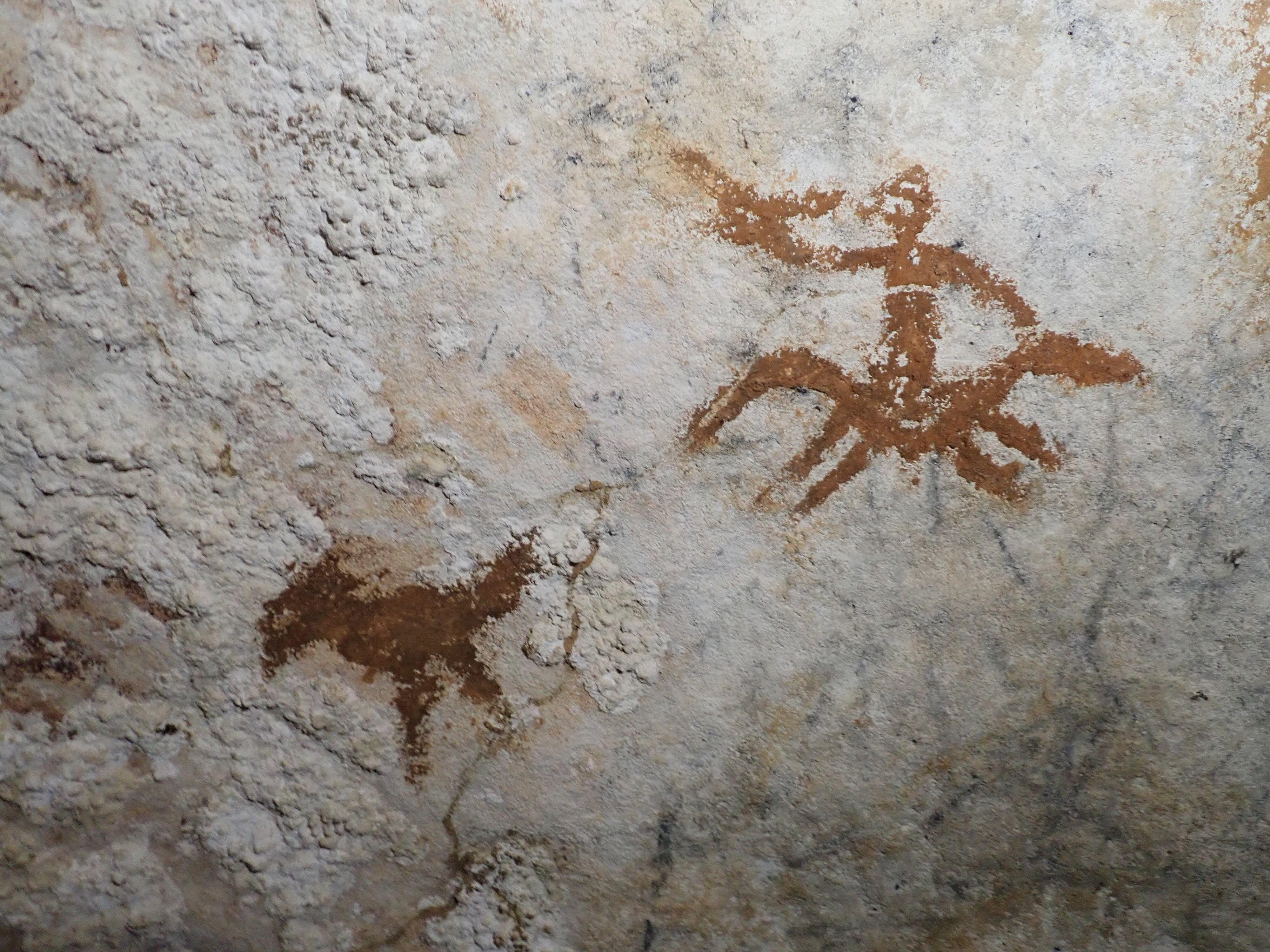 This image provided by Maxime Aubert shows cave drawings in...