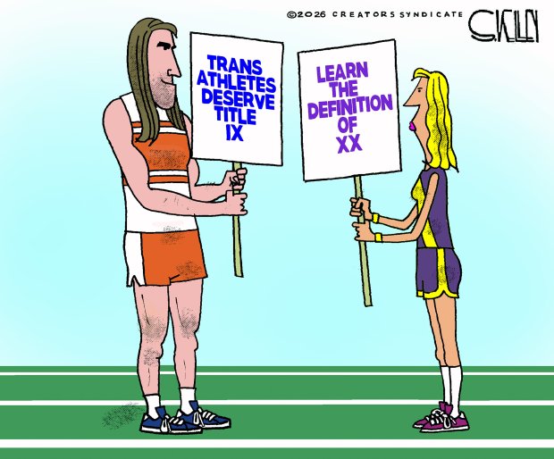 Editorial cartoon by Steve Kelley (Creators Syndicate)