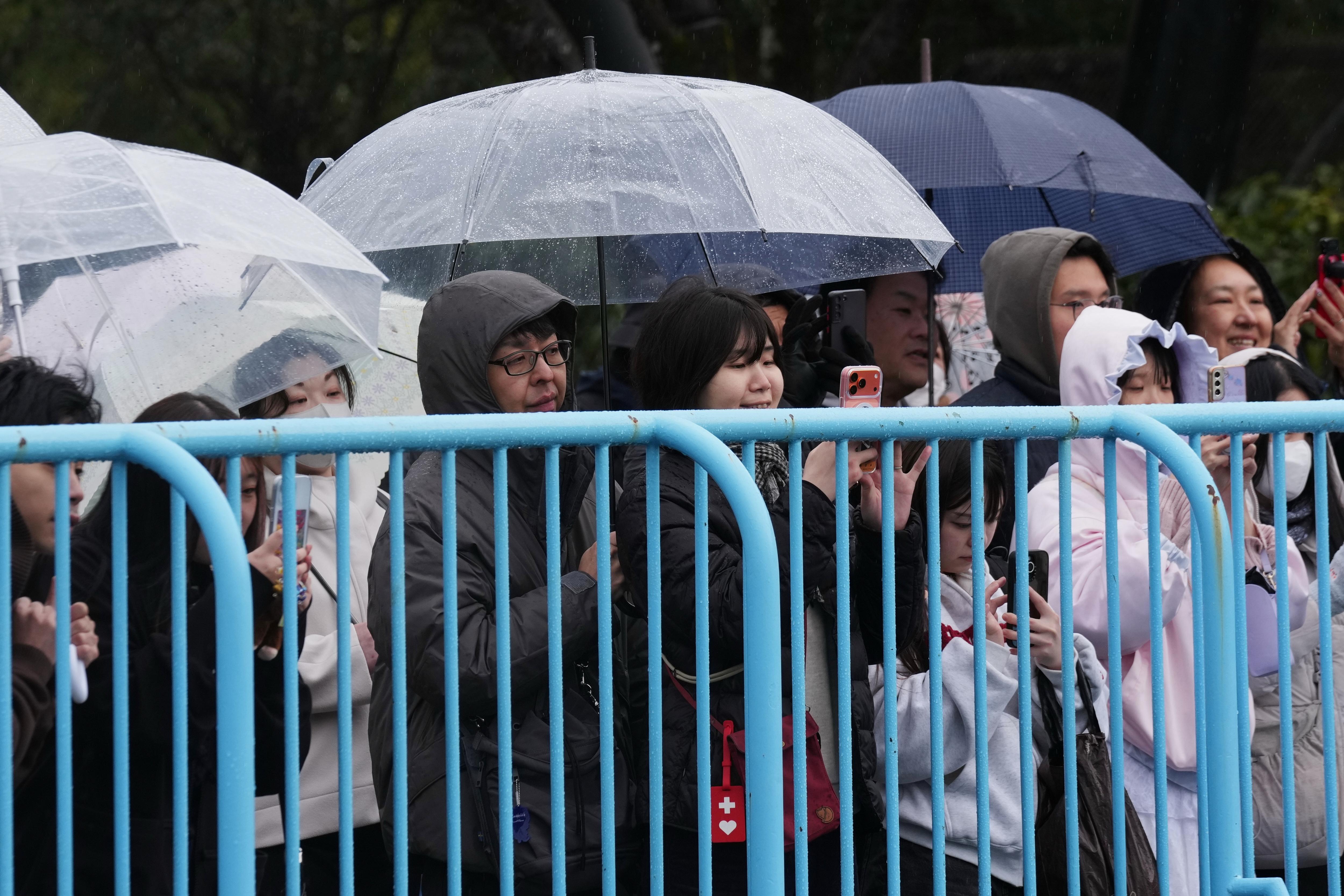 Visitors stand close to the fence to see Punch, a...