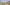 11203569_859103490827529_7250731644775136023_o