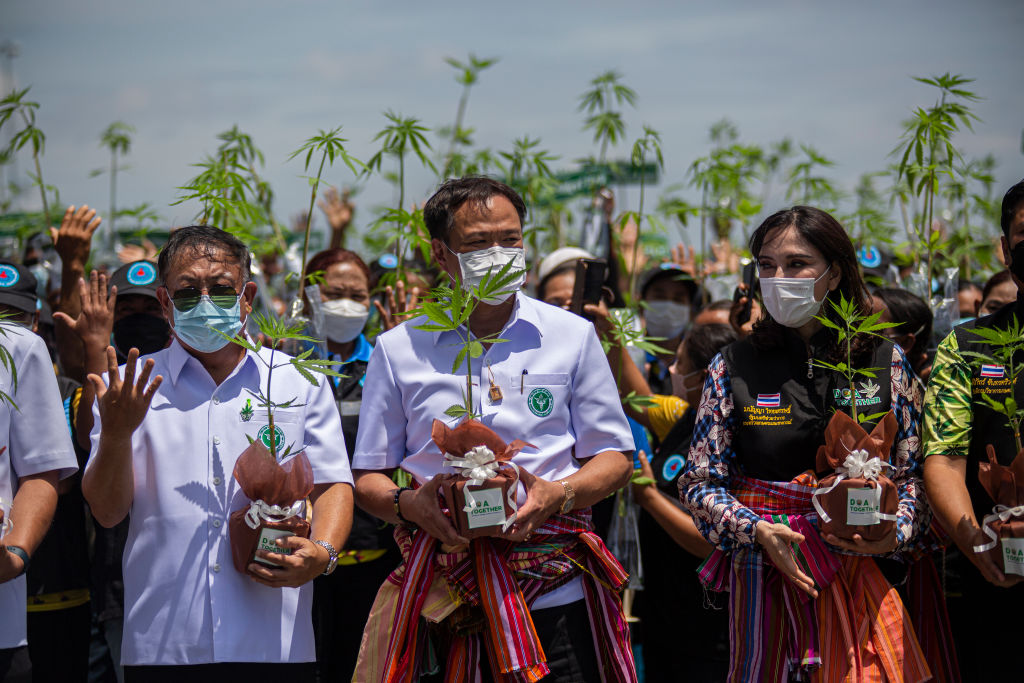 Thailand Legalizes Marijuana