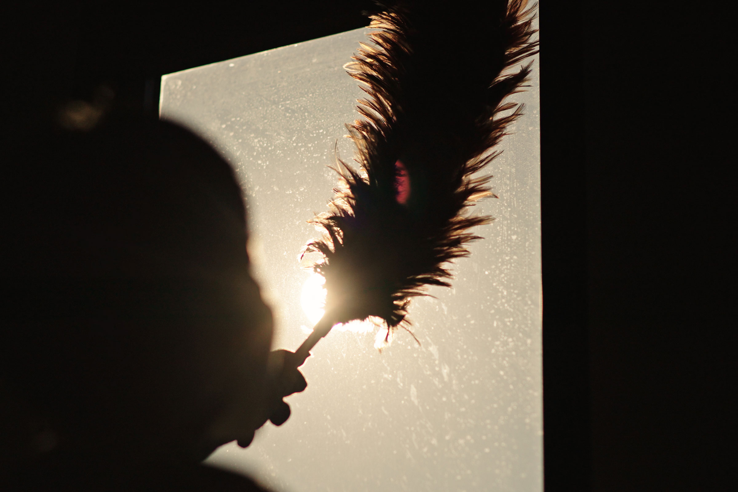 A silhouetted image of a person dusting