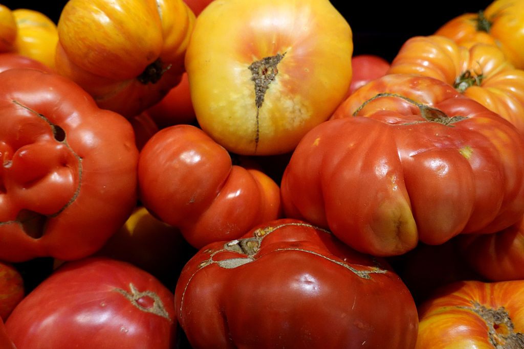 Price Of Tomatoes Expected To Rise As Increased Tariffs On Mexico Set To Begin