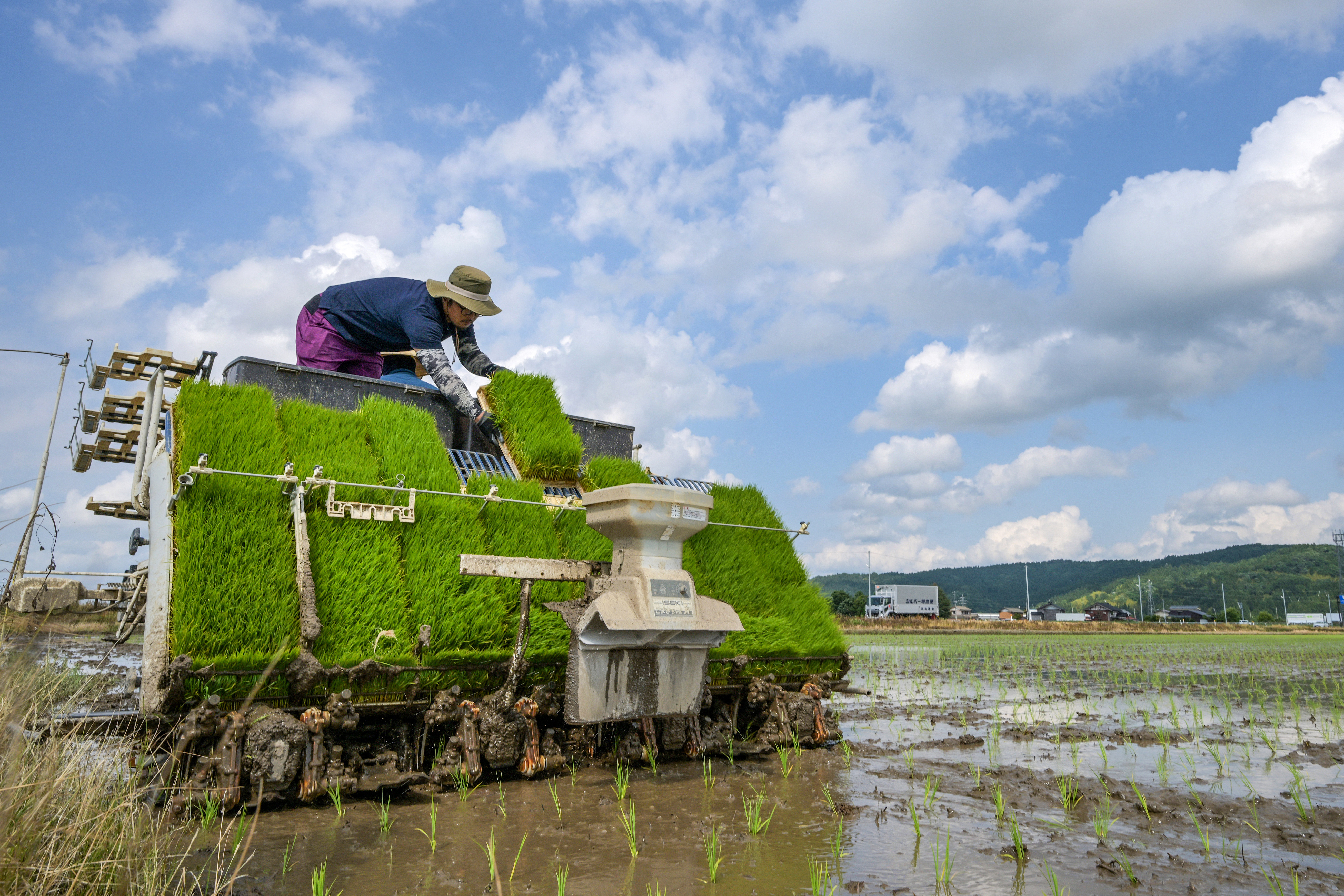 TOPSHOT-JAPAN-POLITICS-INFLATION-FOOD-RICE