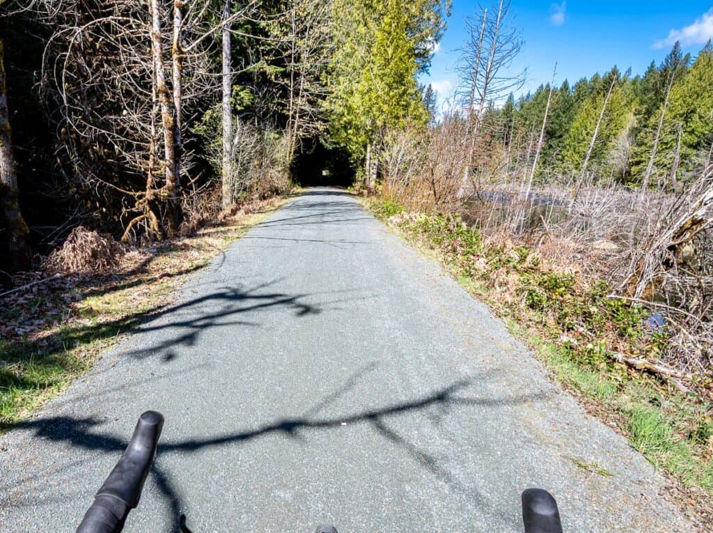 Cycling through a tree tunnel on the Cowichan Valley Trail (Trans Canada Trail)