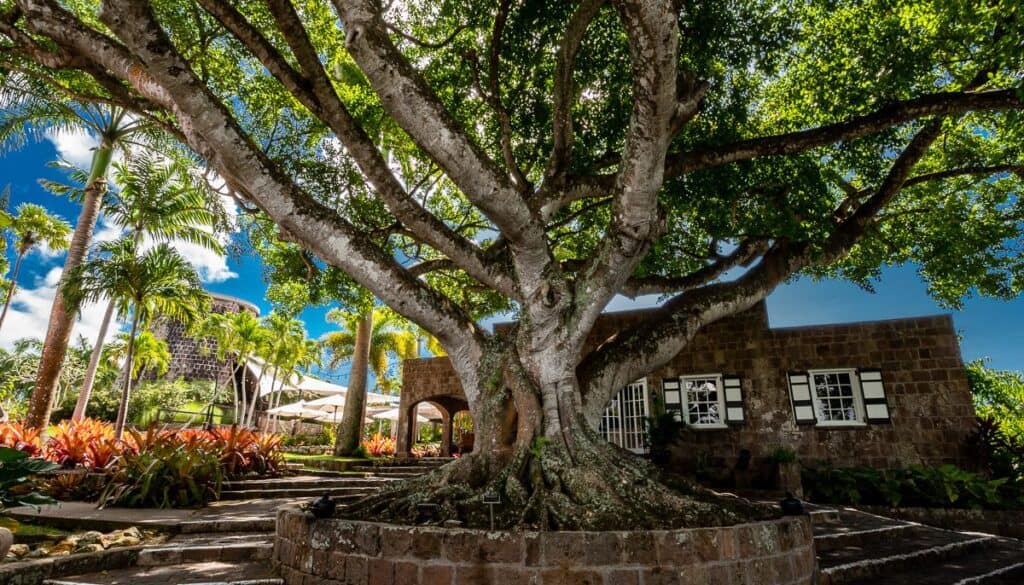Entrance to the Montpelier Plantation Nevis
