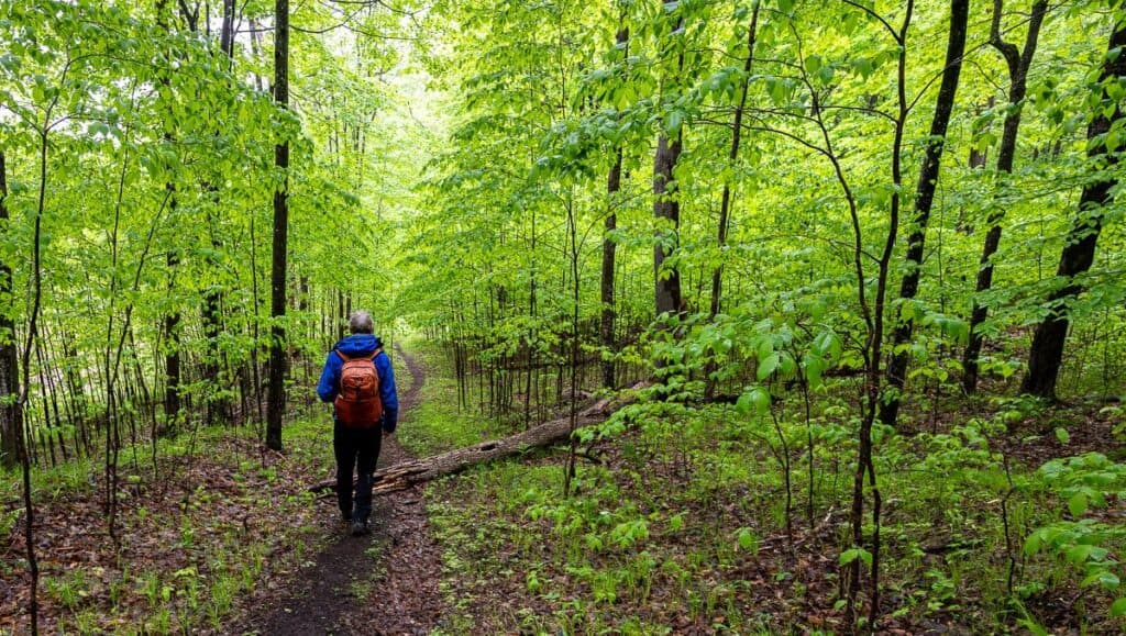 Frontenac Provincial Park is so green and empty in May