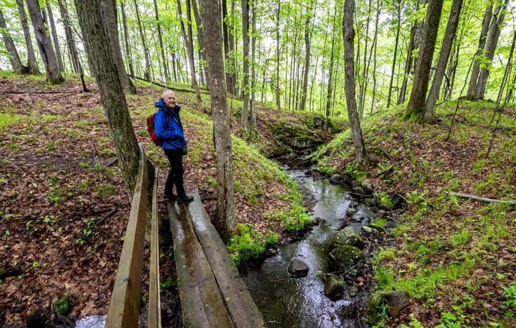 A study in green hiking the Gibson Lake Loop in May