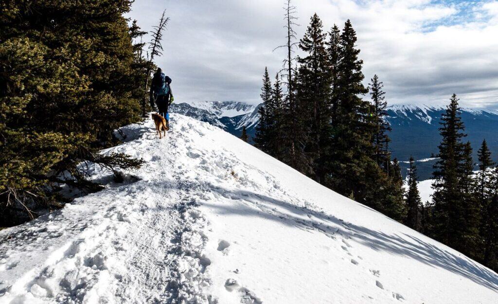 John and our dog Mila on the  summit of Gypsum Ridge in Kananaskis Country