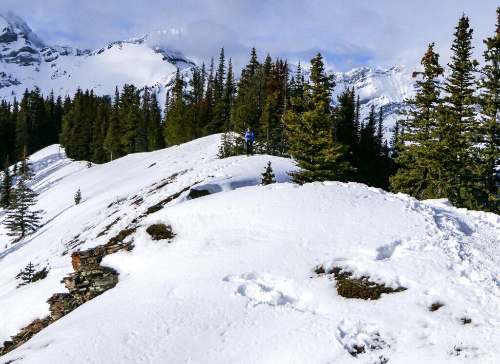 Looking back along the length of Gypsum Ridge
