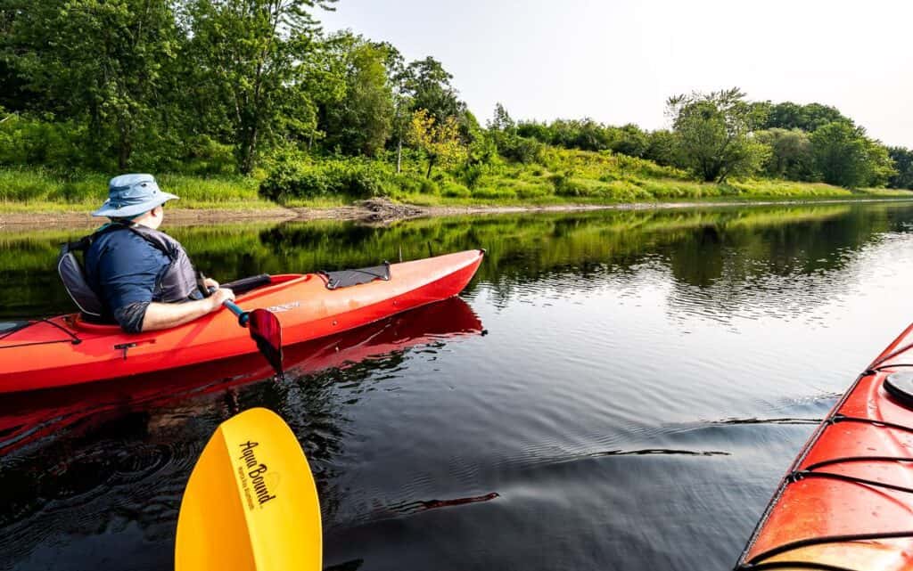 Looking for birds on the Wolastoq near Fredericton