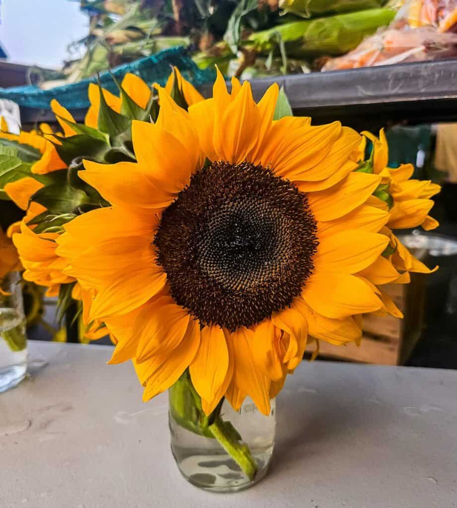 Sunflowers for sale at the Garrison Night Market