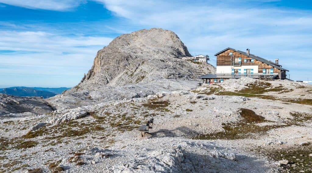 You can climb Cima Rosetta Peak for excellent views before descending on the gondola