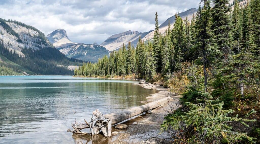 There is more shoreline later in the season 