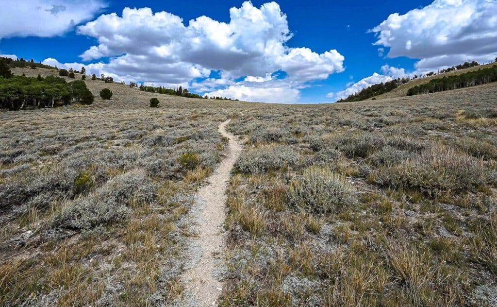 Timber Creek loop hike in Great Basin