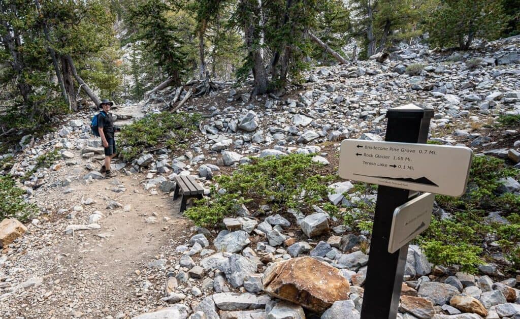 There is some elevation gain to get to both the Bristlecone Pine Grove and the Rock Glacier