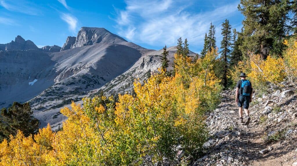 We can see Wheeler Peak in the distance