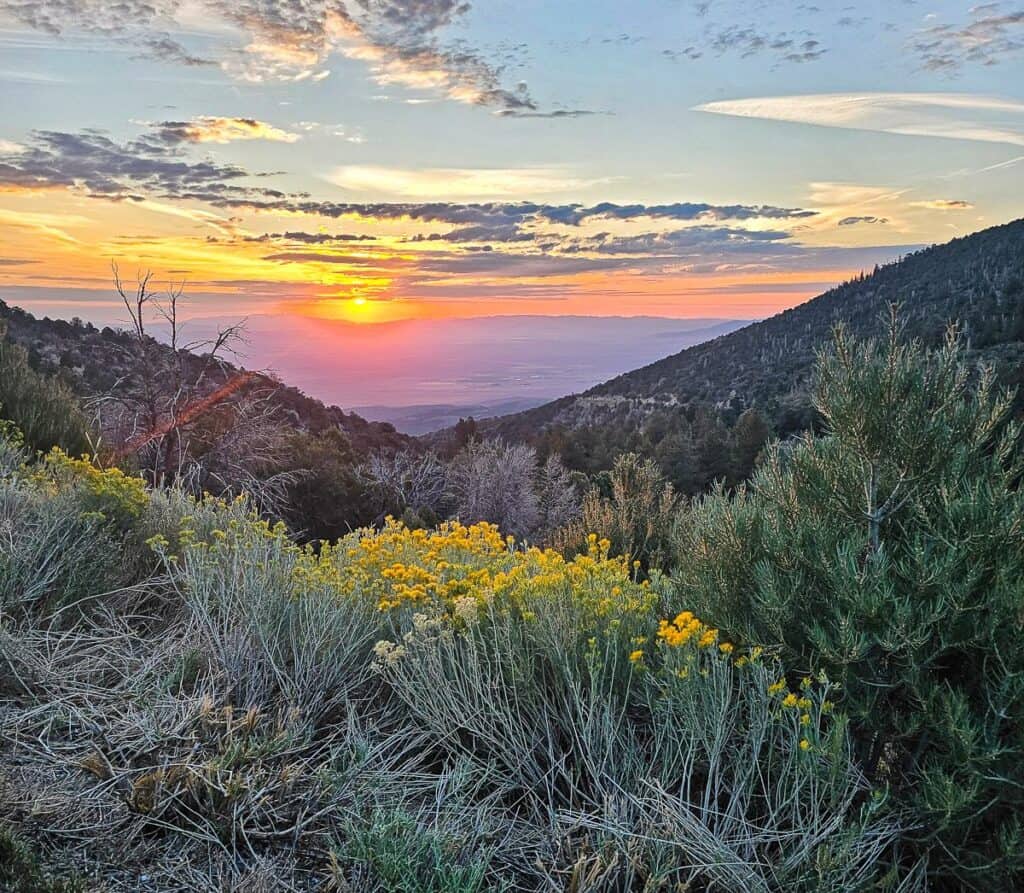 A beautiful sunrise seen on Wheeler Peak Scenic Drive