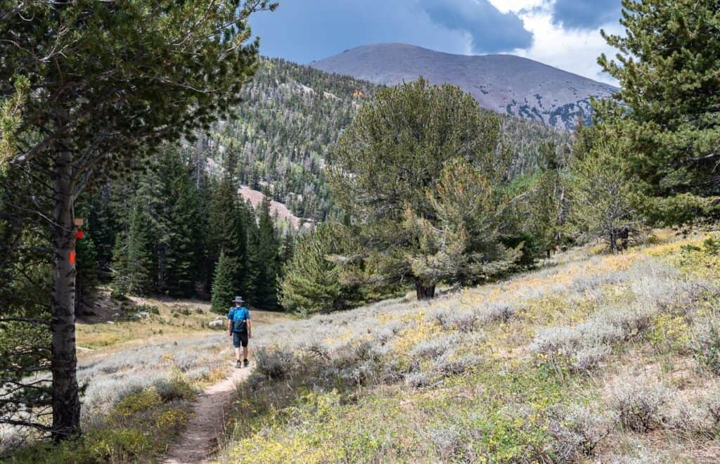 Hiking one of the trails from the Baker Creek trailhead