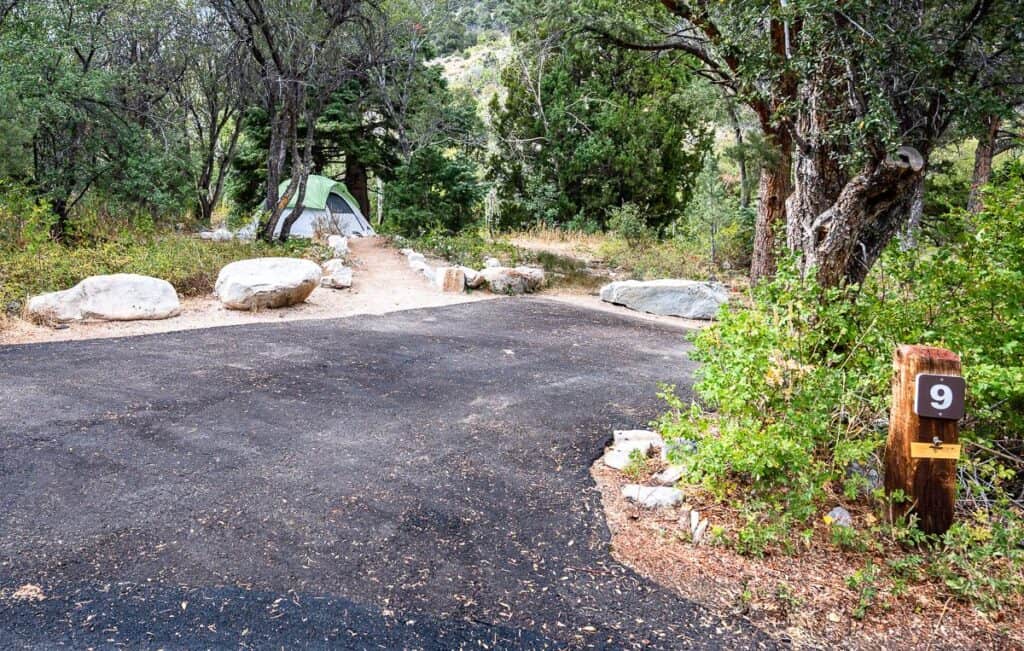 What a treat to have privacy at Upper Lehman Creek campground