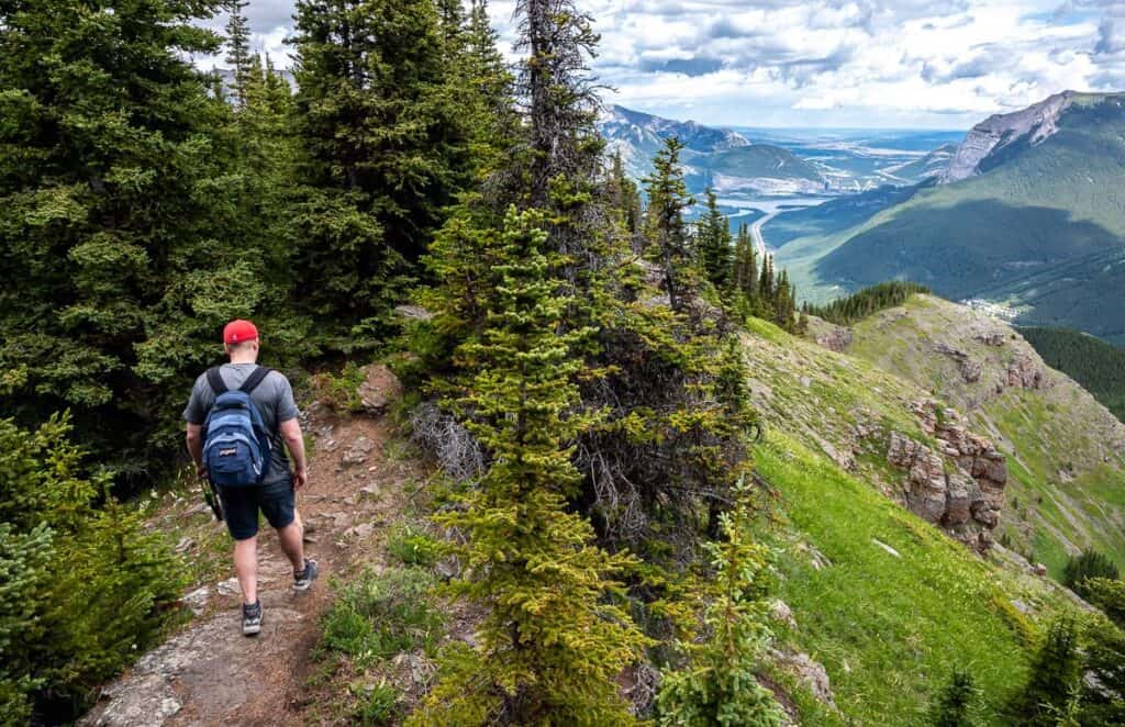 On top of the Wind Ridge Trail looking east out the Bow Valley