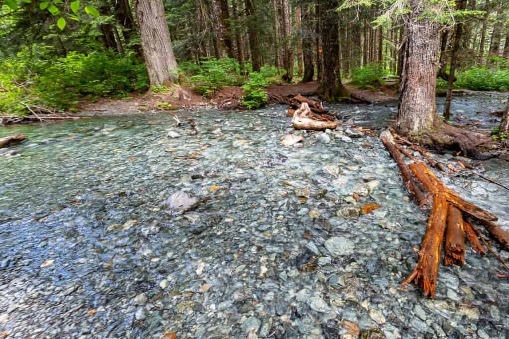 The Volcano Creek crossing on the Elk River Trail required log and rock hopping