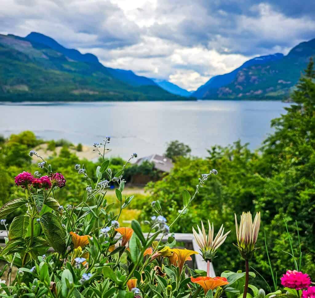 The flower-filled view from Strathcona Park Lodge
