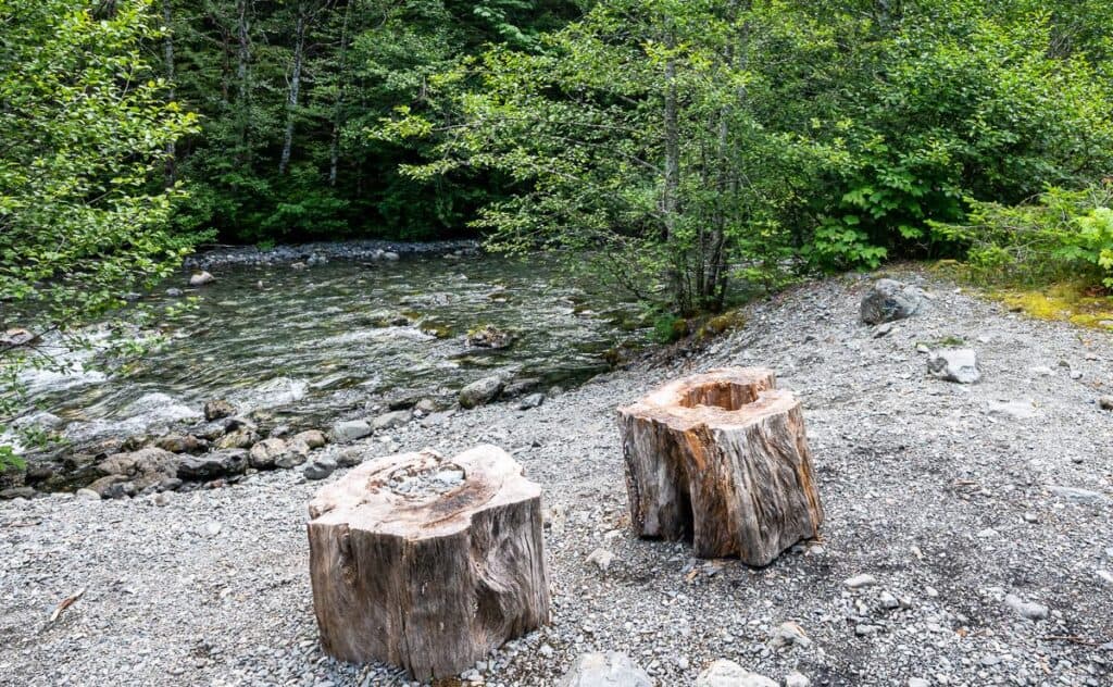 Easy access to the water at the Buttlewort Creek campground