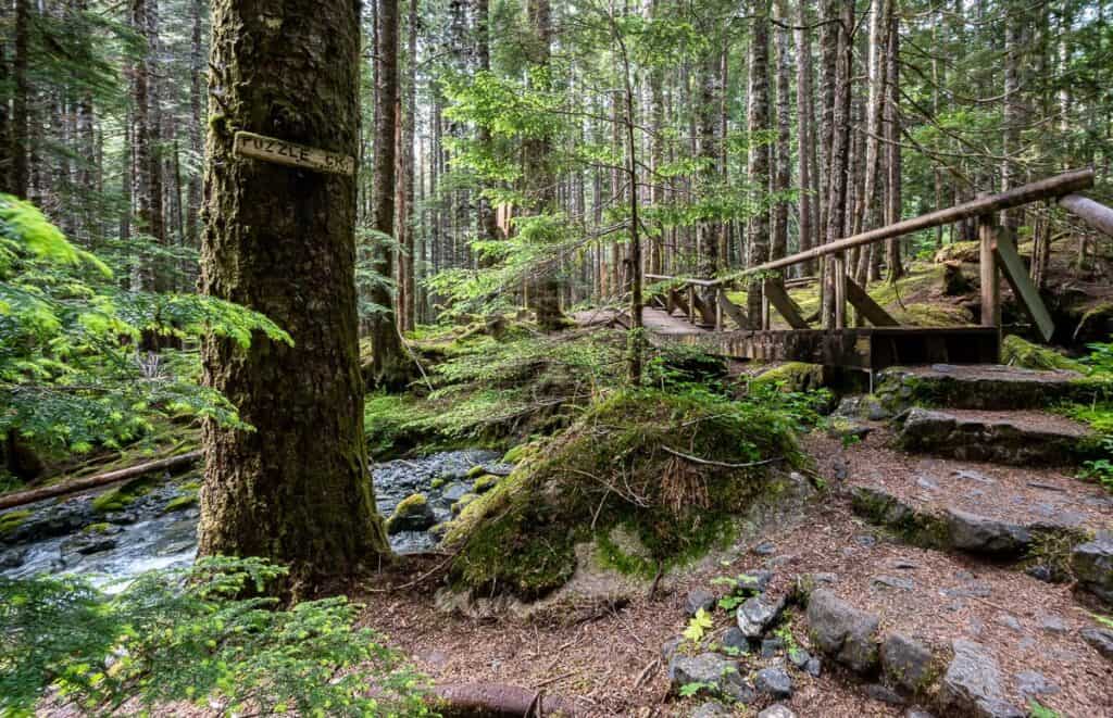 Crossing Puzzle Creek while hiking to Landslide Lake on Vancouver Island