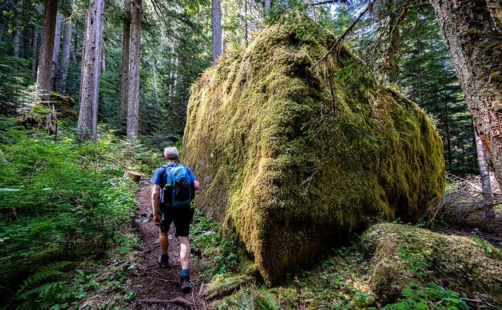 We saw several massive mossy boulders on the hike