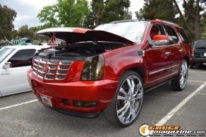 dia-de-los-flojos-25-47